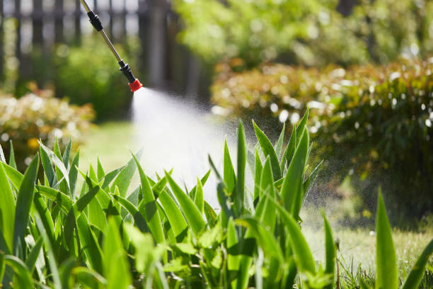 24/7 Emergency Mosquito Control experts in Morristown, TN