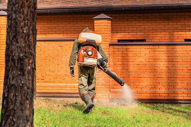 Top rated local Mosquito Control specialists in Morristown, TN